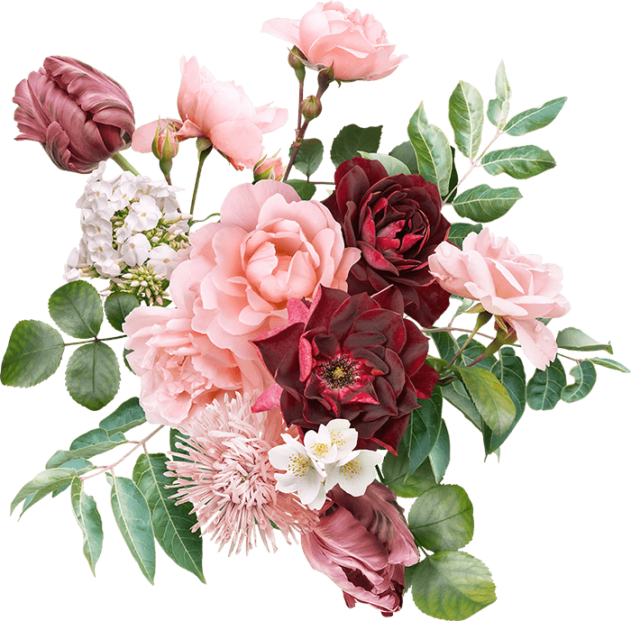 AdobeStock_534463666-min